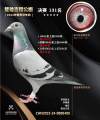图片暂时未上传
