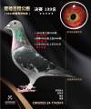 图片暂时未上传