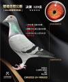 图片暂时未上传