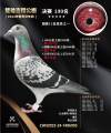 图片暂时未上传