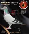 图片暂时未上传