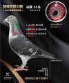图片暂时未上传