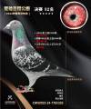 图片暂时未上传