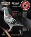 图片暂时未上传
