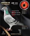 图片暂时未上传