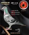图片暂时未上传