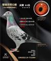 图片暂时未上传