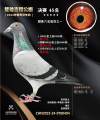 图片暂时未上传