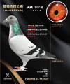 图片暂时未上传
