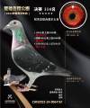 图片暂时未上传