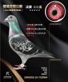 图片暂时未上传