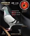 图片暂时未上传