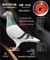 图片暂时未上传