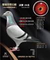 图片暂时未上传