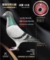 图片暂时未上传