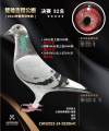 图片暂时未上传