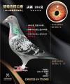 图片暂时未上传