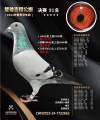图片暂时未上传