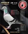 图片暂时未上传