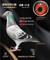 图片暂时未上传
