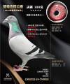 图片暂时未上传
