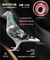图片暂时未上传