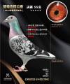 图片暂时未上传