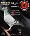 图片暂时未上传