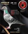 图片暂时未上传