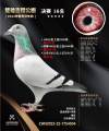 图片暂时未上传