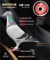 图片暂时未上传