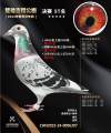 图片暂时未上传