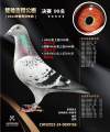 图片暂时未上传