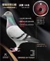 图片暂时未上传