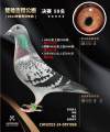 图片暂时未上传