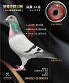 图片暂时未上传