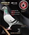 图片暂时未上传