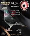 图片暂时未上传
