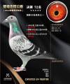 图片暂时未上传