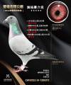 图片暂时未上传