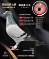 图片暂时未上传