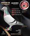 图片暂时未上传