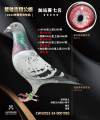 图片暂时未上传