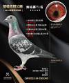 图片暂时未上传