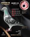 图片暂时未上传