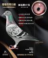 图片暂时未上传
