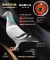 图片暂时未上传