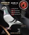 图片暂时未上传