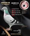 图片暂时未上传