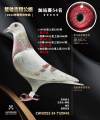 图片暂时未上传
